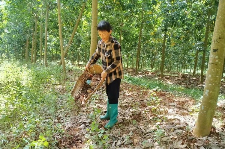 1701915127075009060.jpg 1701915127075009060.jpg