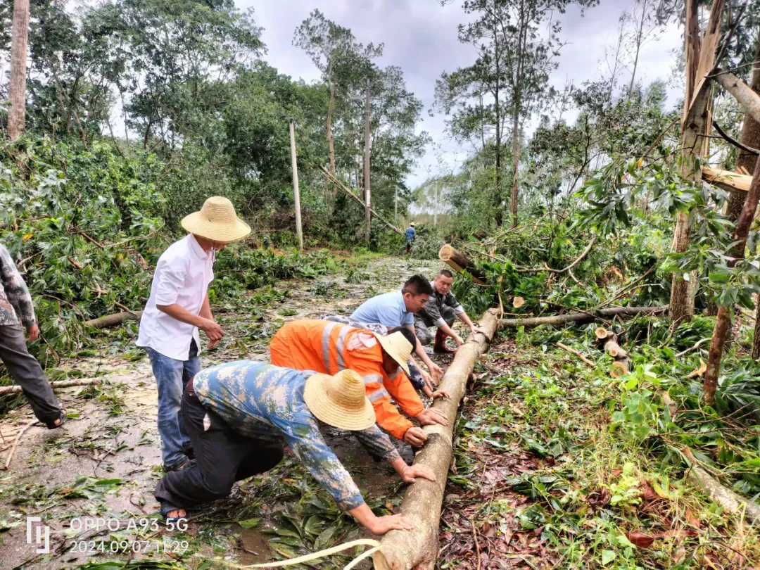 1726284994501026230.jpg 1726284994501026230.jpg