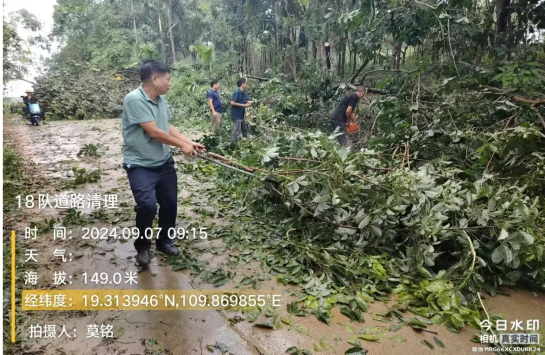 1726285051542034424.jpg 1726285051542034424.jpg