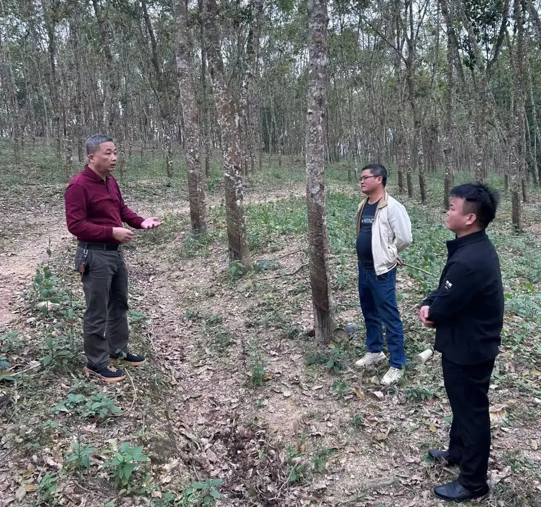 1736468606959077900.jpg 1736468606959077900.jpg