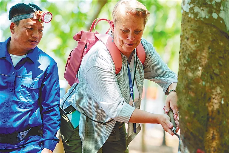 1746750277355056182.jpg 1746750277355056182.jpg