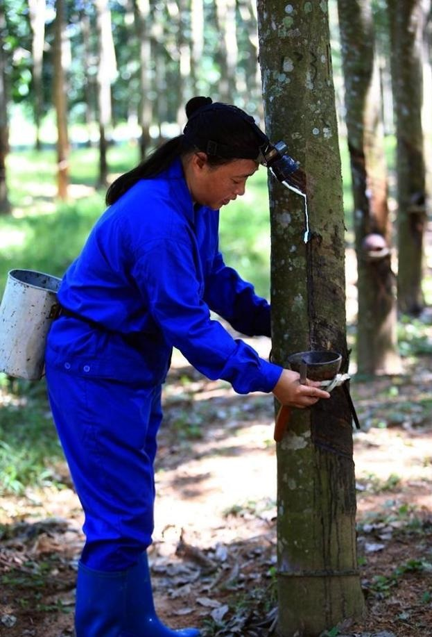 1747639598889066714.jpg 1747639598889066714.jpg